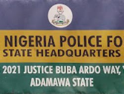 Adamawa Police Arrest Church Member for Kidnapping Two Rev. Fathers