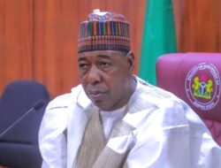 Zulum Urges Chad Basin Authority to Invest in Groundwater Irrigation to Boost Food Security