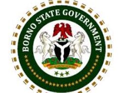 Alhaji Kagu Alibe, former Borno SSG, dies at 80