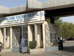 AKTH treats, discharges 15 maggot therapy patients