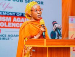 “Order in Chaos: Northern Leaders, Embrace the Borno Model” 