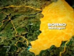 IED Explosion Hit Banki Town Of Bama.