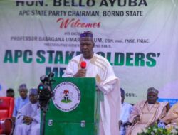 I don’t Know My Successor – Zullum.