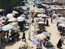 From cold to Scorching Sun: Changing Weather Patterns in Maiduguri
