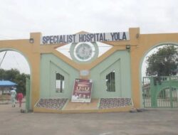 Suspended Daily-Rated Workers at Yola Specialist Hospital Decry Hardship, Seek Government Intervention