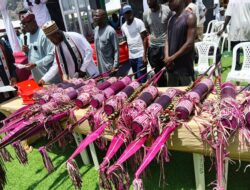A Historic Celebration of Service, Sacrifice, and Patriotism in Hong LGA