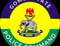 Police Rescue Abducted 8-Year-Old Boy, Arrest Four Suspects in Gombe