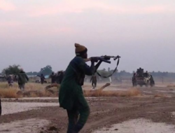 Gunmen kill Police Inspector, Six others in Adamawa